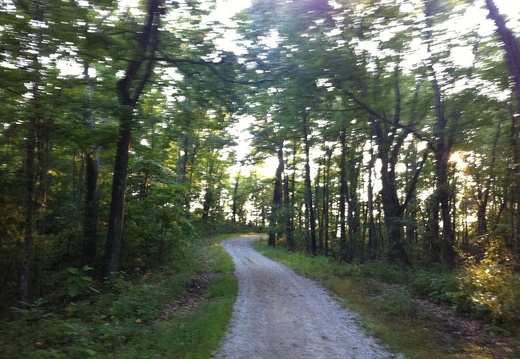 Auxier Ridge, a year after the fire